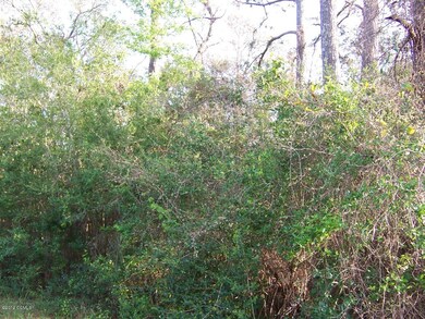 OLD house in wooded area.