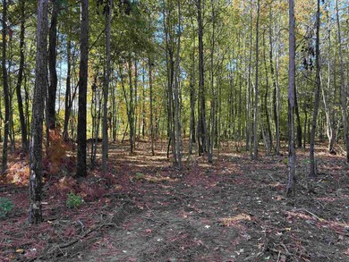 0 Bethuel Rd unit Lot 14, Unincorporated, TN 38053 - photo 6