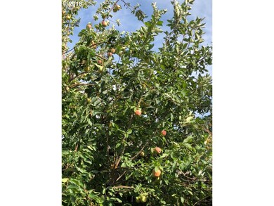 811 W 14th St, the Dalles, OR 97058 - photo 5