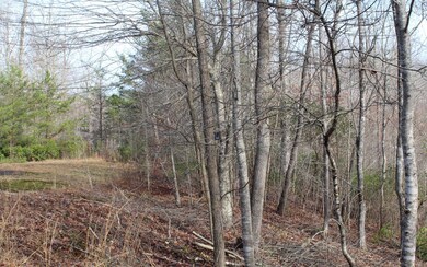 Additional View