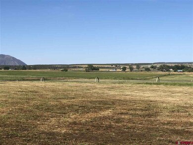 0 Road 23 unit 768379, Cortez, CO 81321 - photo 6
