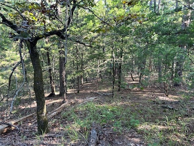 2021 Goats Bluff Rd, Wister, OK 74966 - photo 7