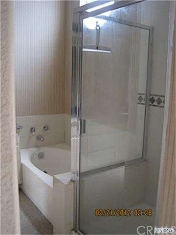 Master Bathroom Tub and Shower