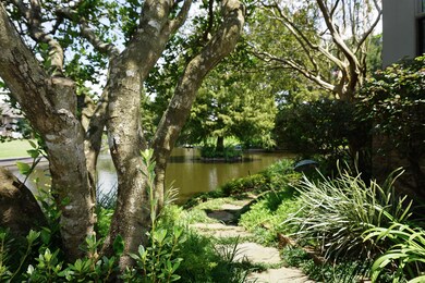 Path Around House to Deck