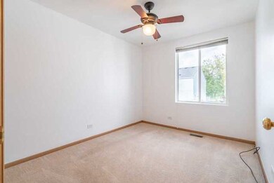 247 W Washington St unit 3265, Oswego, IL 60543 - photo 6