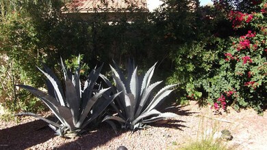 Meticulously Maintained Landscaping