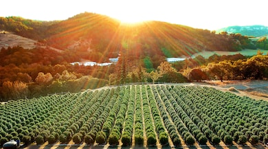 220 Wilder Ridge Rd, Honeydew, CA 95545 - photo 7