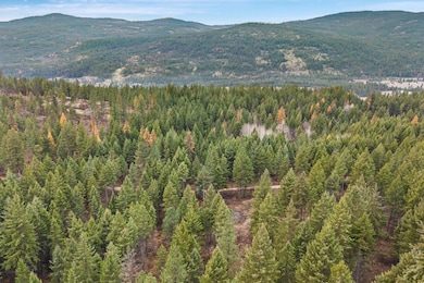 3XXX Rockcut Rd, Kettle Falls, WA 99141 - photo 4