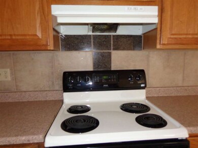 Stove with Stone backsplash