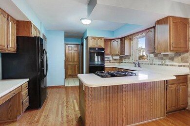12950 W 92nd Ave, Saint John, IN 46373 - photo 7
