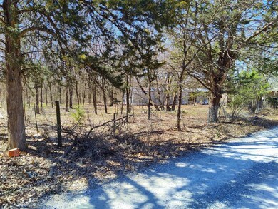 110 Family Acres Dr, Pottsboro, TX 75076 - photo 3