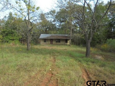 10250 County Road 3197, Arp, TX 75750 - photo 2
