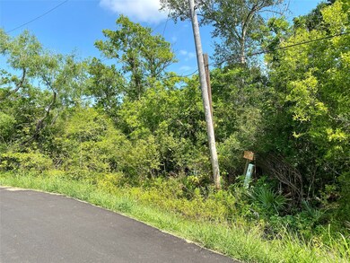 0 Ramble Wood Dr unit 82524722, Brazoria, TX 77422 - photo 3