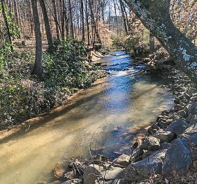 145 Warner Mill Rd, Walhalla, SC 29691 - photo 3