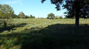 0 Karen St, Harrison, AR 72601 - photo 3