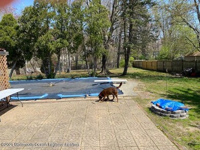 large backyard