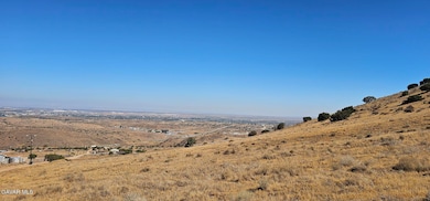 0 Vic Angeles Highway Oreo Ln, Palmdale, CA 93550 - photo 2