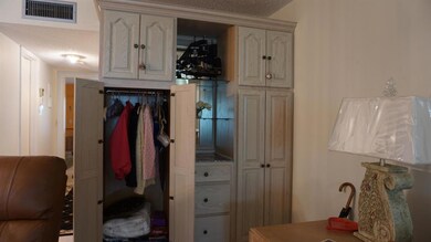 Living Room Built-in
