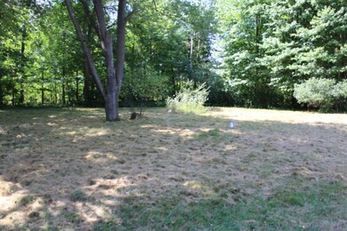 421 Leboeuf Ln, Wayland, MI 49348 - photo 5