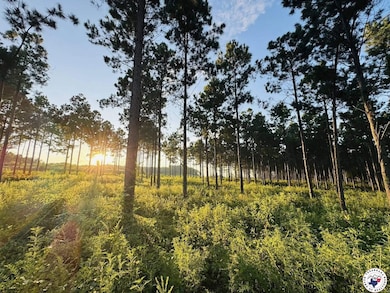 Tbd 3659, Queen City, TX 75572 - photo 3