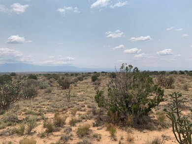 416 26th St NW, Albuquerque, NM 87124 - photo 5