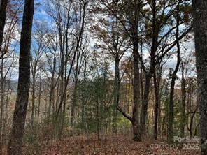 Lot 6 Osprey Mountain Way, Webster, NC 28779 - photo 6