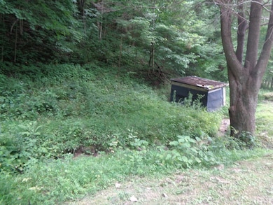 78 Rochetti Dr, Crumpler, WV 24868 - photo 6