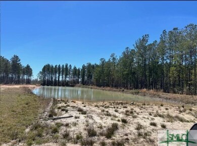 1 Rye Patch Rd NE, Ludowici, GA 31316 - photo 2