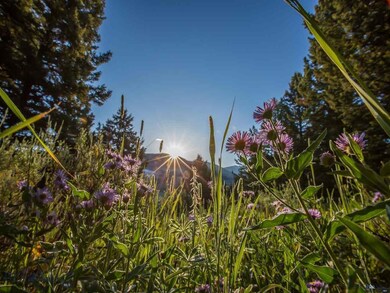 0 Fortress Rd unit 210659, Big Sky, MT 59716 - photo 3