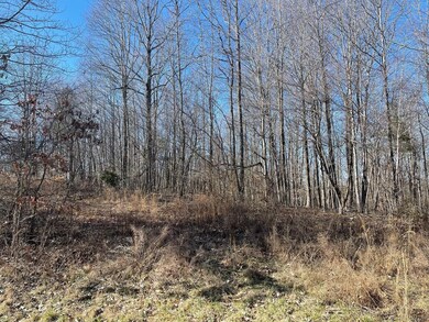 0 Chandler Rd unit RTC3045151, Woodlawn, TN 37191 - photo 3