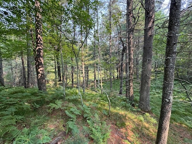 309/310 Deerwood Rd, Minocqua, WI 54548 - photo 3