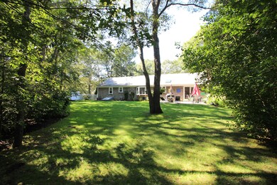 back yard 3