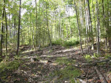 00 Perch Pond Rd, Lisbon, NH 03585 - photo 4