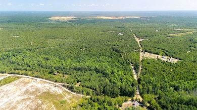 2576 Jessie James Pond Rd, Wrens, GA 30818 - photo 5