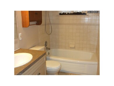 333 Thelma Dr, Sheffield Lake, OH 44054 - photo 3