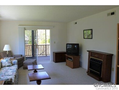 1101 Deermouse Way, Hendersonville, NC 28792 - photo 4