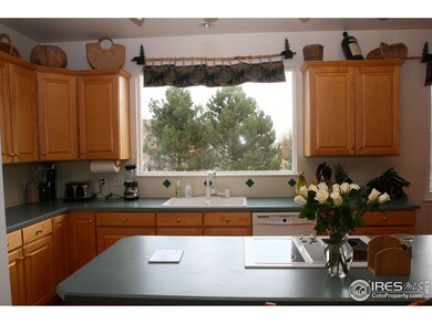kitchen overlooks backyard