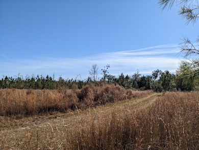 Lot 3 Mcmillan Rd, Hahira, GA - photo 7