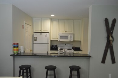 4 Northbrook Village Rd unit B-13, Dover, VT 05356 - photo 4