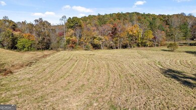 Lot 14 Bravo Way, Talking Rock, GA 30175 - photo 5