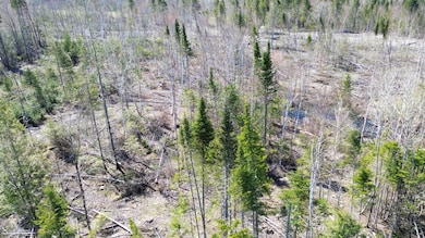 Lot 31C B Rd, Houlton, ME 04730 - photo 5