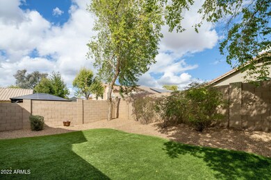 Backyard 2