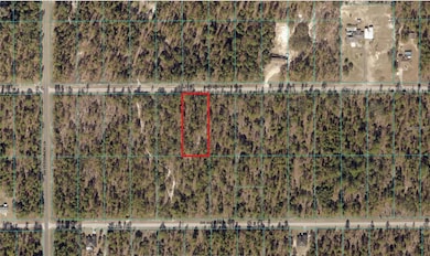00 SW Edgewater Blvd, Dunnellon, FL 34431 - photo 2