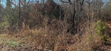 500 R Tram - Left Side - Front, Traskwood, AR 72167 - photo 4