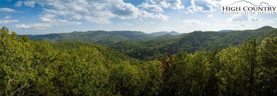 1318 Roundleaf Ln, Ferguson, NC 28624 - photo 2