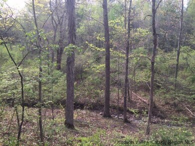 569 Old Kings Hwy, Accord, NY 12404 - photo 5