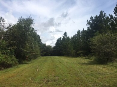 00 N Patten Rd, Tylertown, MS 39667 - photo 4