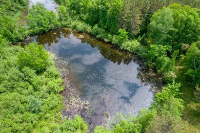 E5254 E Circle j Rd, Marion, WI 54950 - photo 4