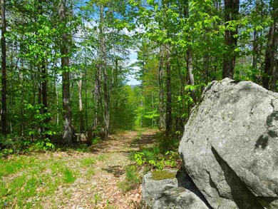 00 Whittier Hwy unit Lot 15.1, Moultonborough, NH 03254 - photo 2