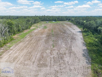 7471 Old River Rd, Patterson, GA 31557 - photo 5